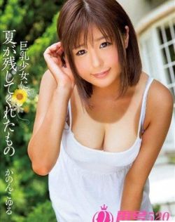 日韩av入口